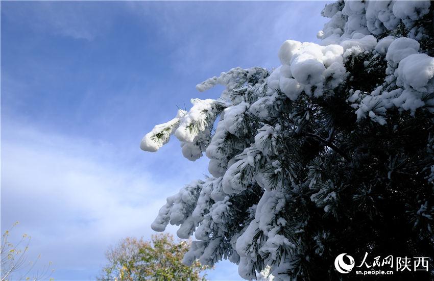 11月6日晚，古城西安迎來(lái)2021年第一場(chǎng)雪。吳超攝