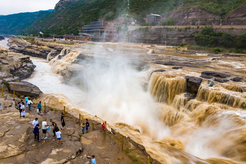 陜西壺口瀑布現(xiàn)“金瀑飛流”奇觀。黃河壺口瀑布旅游區(qū)供圖