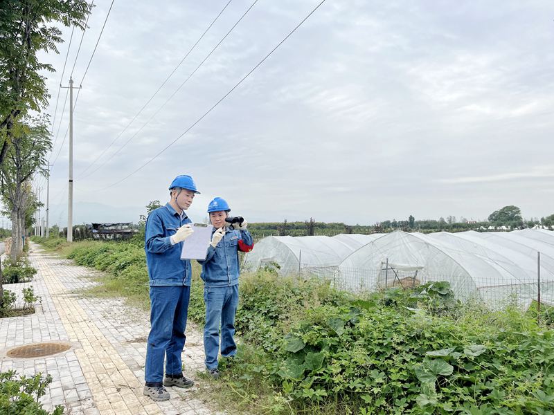 國(guó)網(wǎng)陜西電力開展線路特巡保秋收