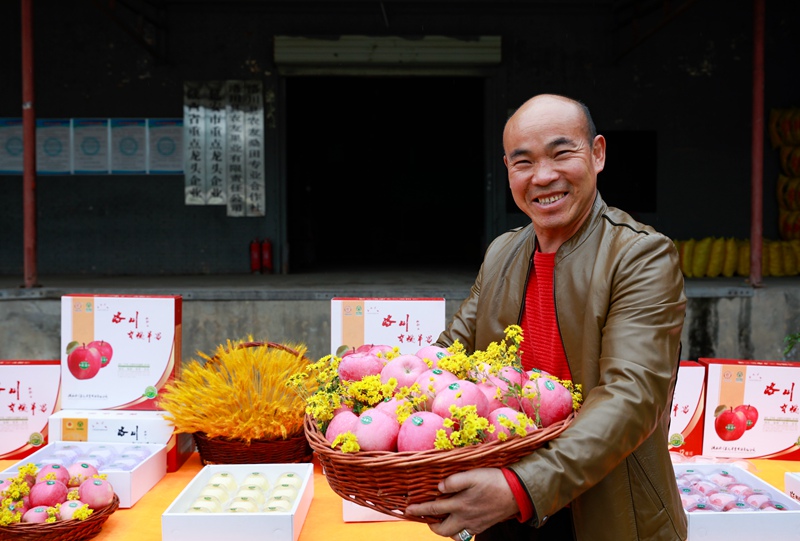 果農(nóng)在展示蘋果。王警攝