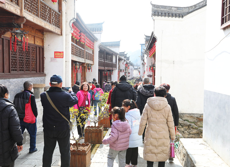 旅客們開啟探尋鎮(zhèn)安的春之旅。敬雨橋攝