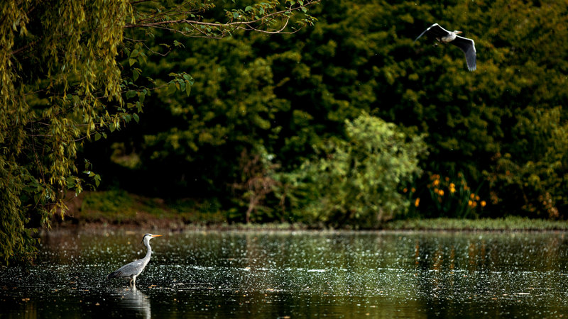 西安浐灞國家濕地公園迎來“花”式美景