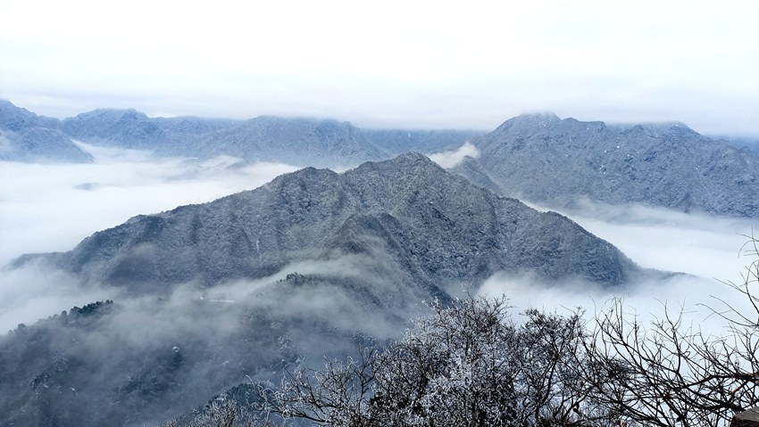 春雪落秦嶺，銀裝素裹美如畫。張玉龍 攝