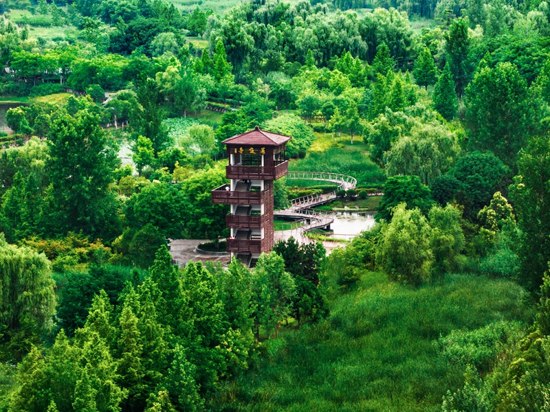 灃河生態(tài)濕地公園。西咸新區(qū)融媒體中心供圖