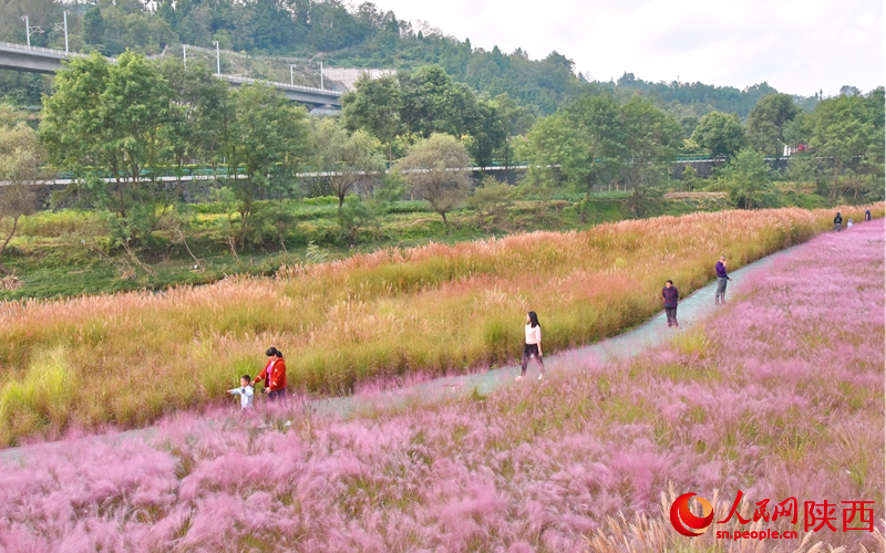 在漢江源頭玉帶河畔濕地公園游玩的游客。人民網(wǎng)記者 白鴿攝